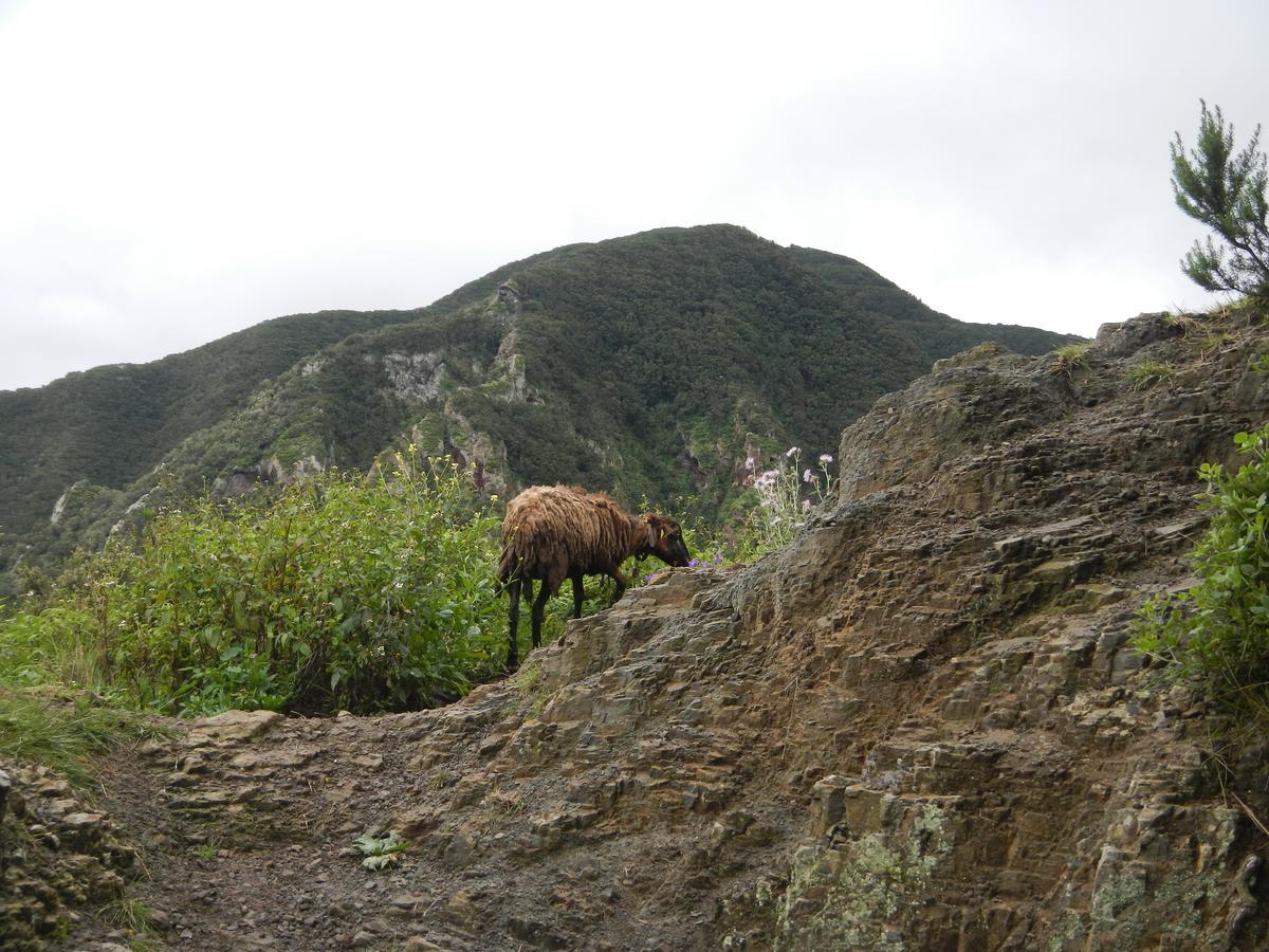 Albergue Montes De Anaga El Bailadero Kültér fotó
